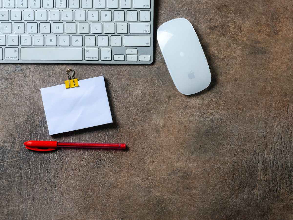 Types of Editors in&nbsp;Publishing